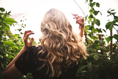 Read more about the article Here’s How You Can Keep Your Hair Healthy